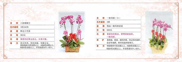 广东邮政EMS节日礼仪业务-只知道广东邮政E