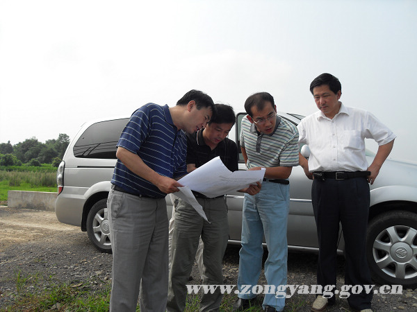 钱桥农业综合开发项目通过省级验收-钱桥-中安