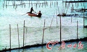 枞阳GDP2020_枞阳横埠(3)