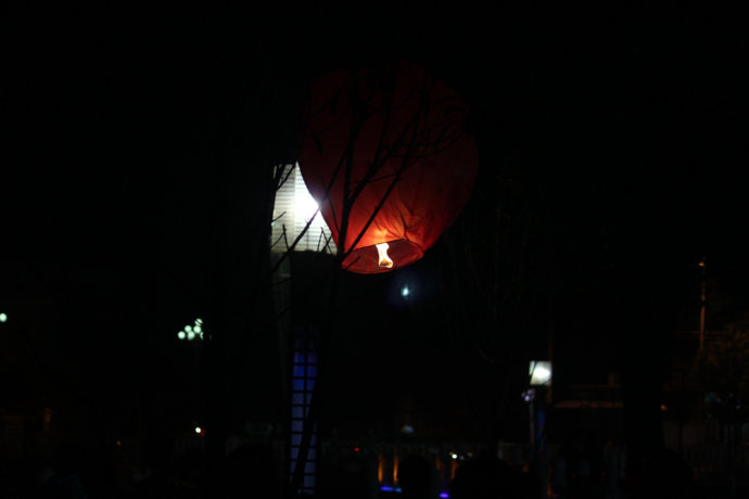 1601369_261230.jpg