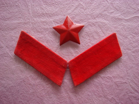 侦察排长:部队那点事