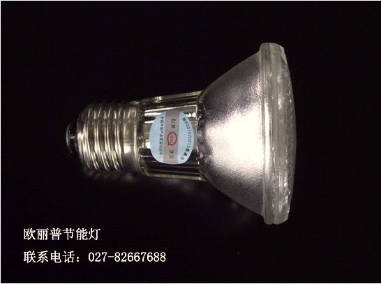 1662134_547347.jpg