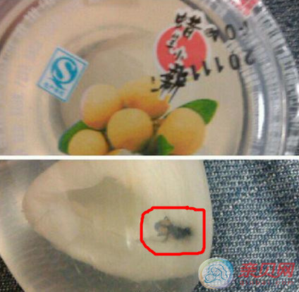 蜡笔小新桂圆果冻惊现死苍蝇 果冻安全惹人忧