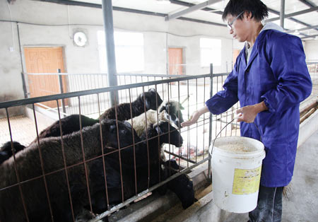 <em>乌骨羊</em>市场俏-市场俏-中安在线-宁国新闻网