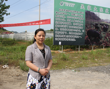 养黑猪的<em>果敢女人</em>