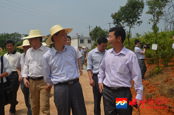 黄墩镇举行首届蓝莓产业推介会 - 怀宁新闻网