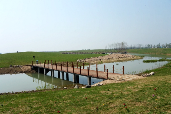 “岸上草原”风景这边独好-草原-中安在线-滨湖网