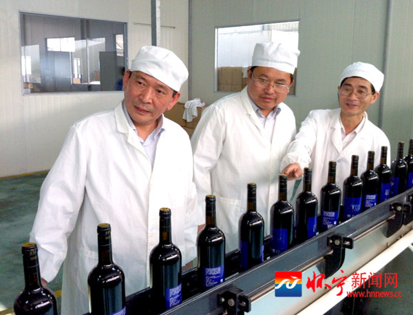 怀宁精耕蓝莓产业打造绿色经济 - 怀宁新闻网