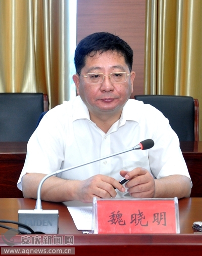 魏晓明主持召开大建设六分开回头看情况汇报