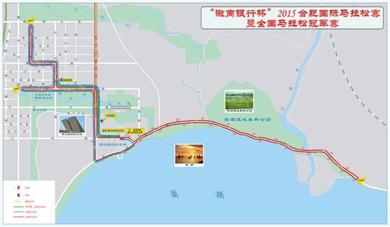 2015合肥国际马拉松比赛最全攻略-马拉松-中安在线-滨湖网