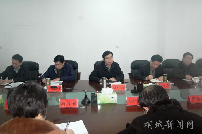 市委召开征求意见和建议座谈会-桐城新闻网