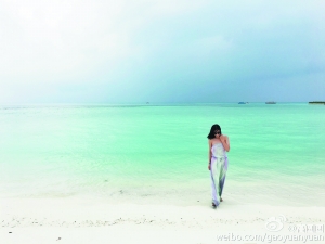 跟随明星们挖掘旅游新私窦