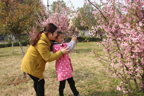 方兴小学举办第二届亲子摄影大赛 国家级合肥