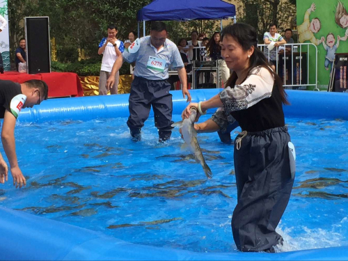鱼乐无穷庆端午--中安在线-六安网
