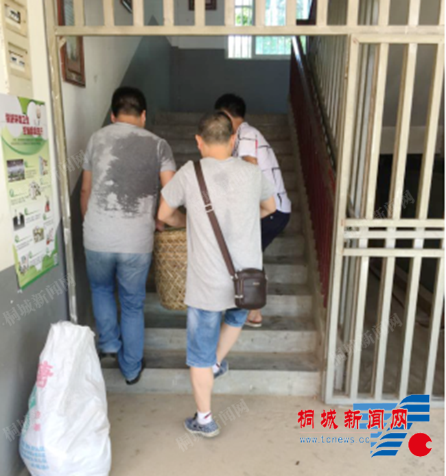 桐城电信志愿者在行动-桐城新闻网