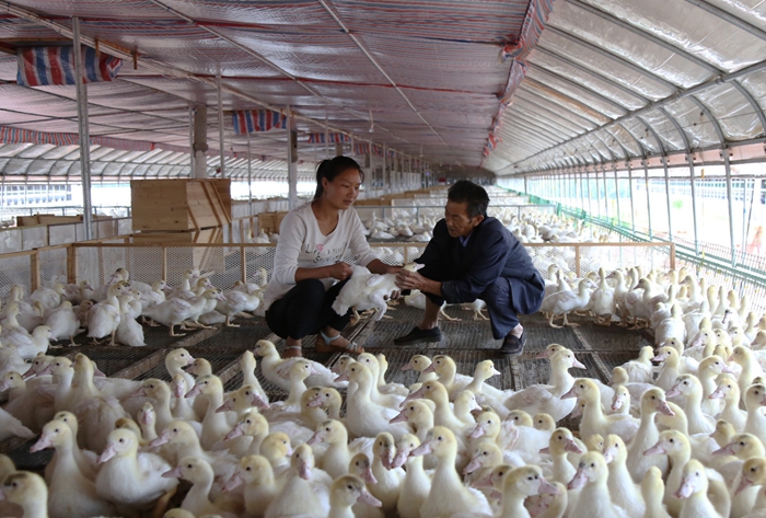 履行企业社会责任 聚焦实施精准扶贫 - -望江县