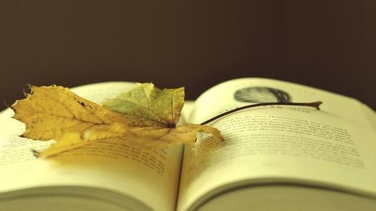 吴国平:要想拿到中考函数分数,先把一次函数吃