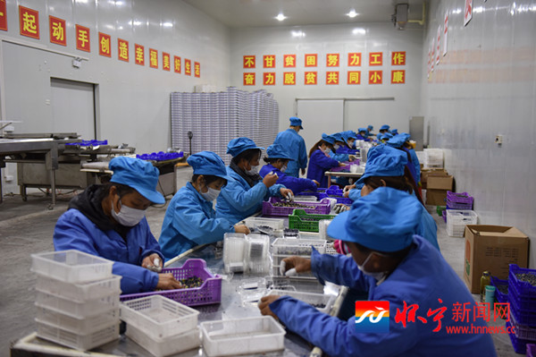 多人闺蜜头像每人一张_2000年平均每人收入(2)