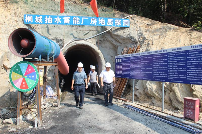 抽水蓄能电站_抽水蓄能电站收入(2)