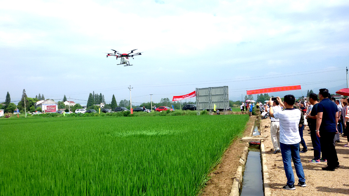 砺奋进的五年 农业篇丨现代农业竞风流-桐城新