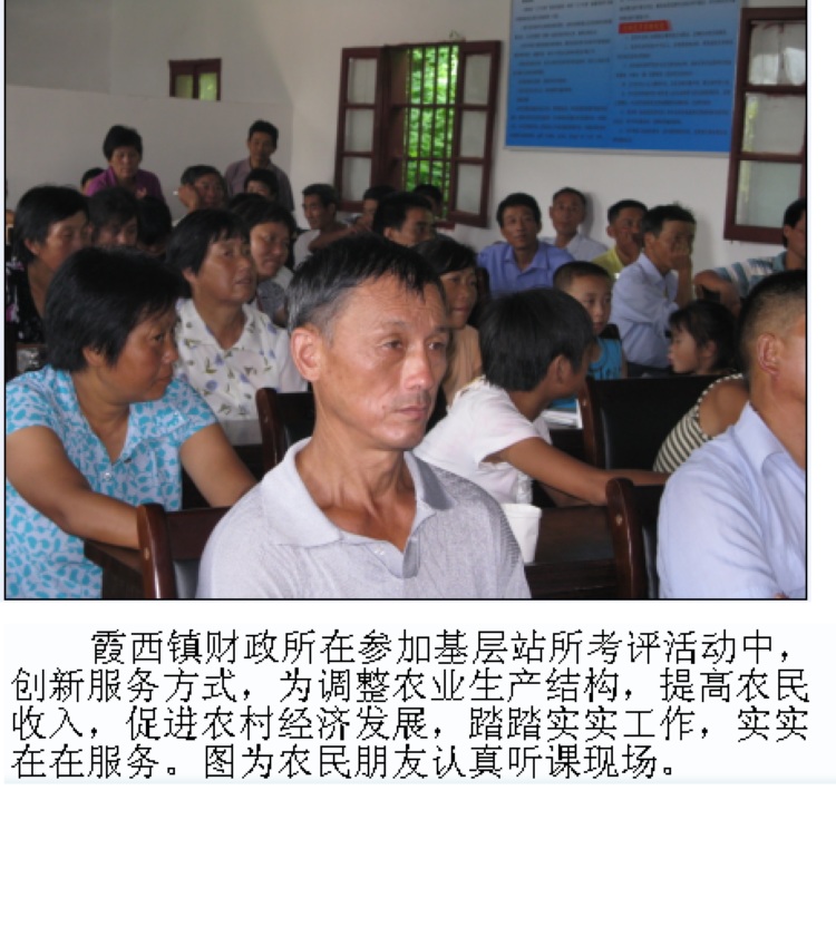 收入证明_农民收入来源分哪些(3)